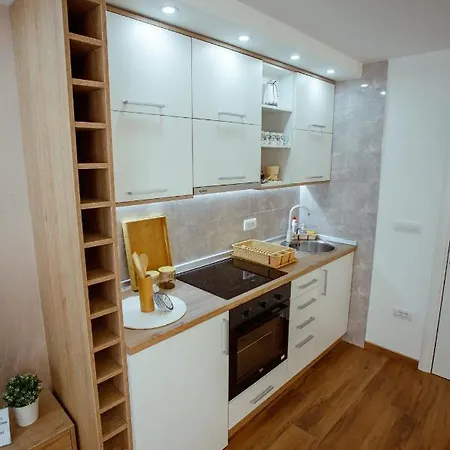 Apartment Vesna *
